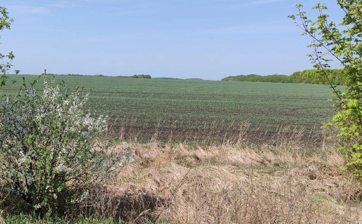 РБК Черноземье