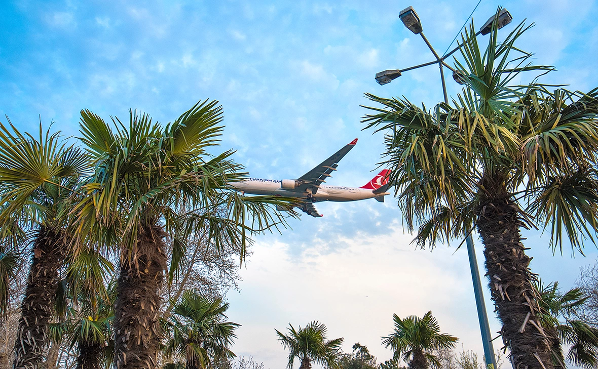 Mitzo / Shutterstock