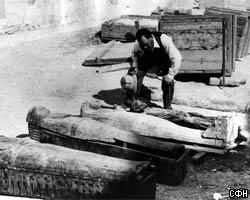 Найдена мумия льва