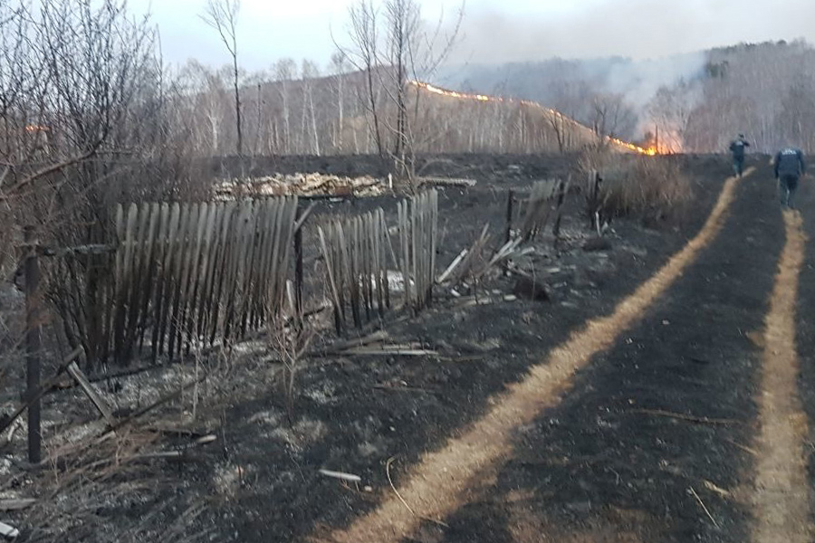 На фото: последствия лесных пожаров в Емельяновском районе Красноярского края, 17 апреля