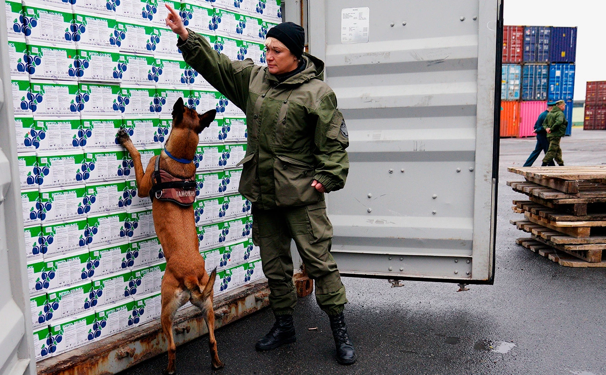 Михаил Голенков / РИА Новости