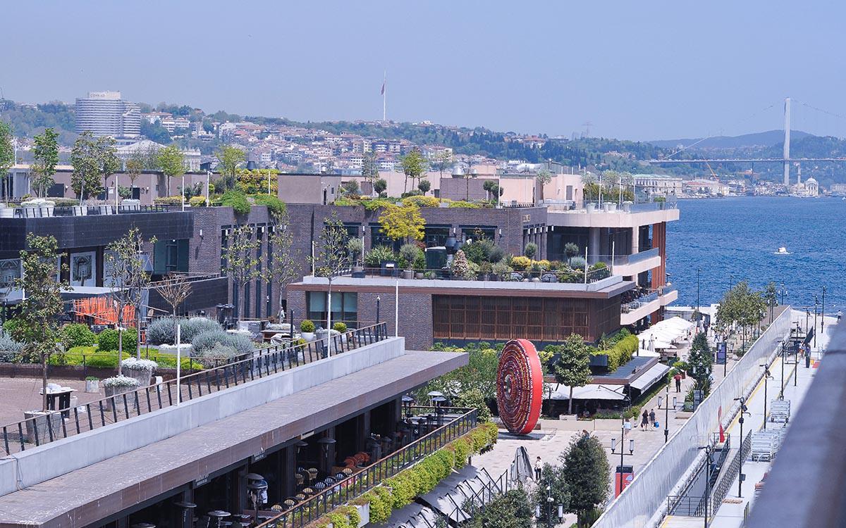 Фото: Solarisys / Shutterstock / FOTODOM