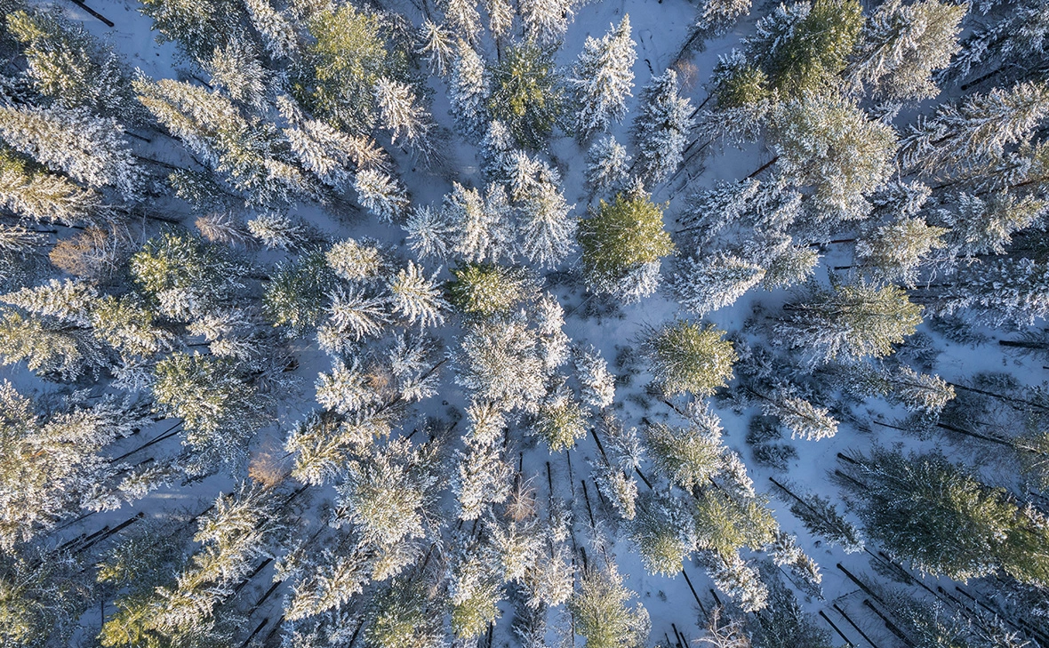 Максим Антипин / ТАСС