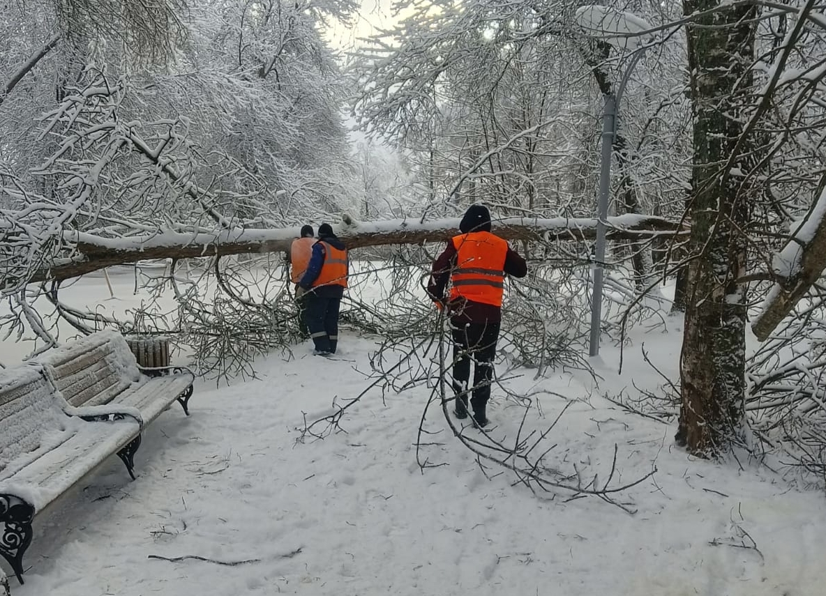 Аварийная бригада ликвидирует последствия снегопада