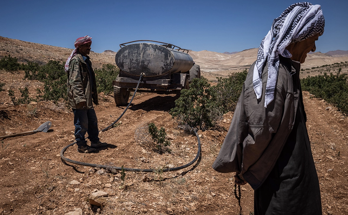 Ed Ram / Getty Images
