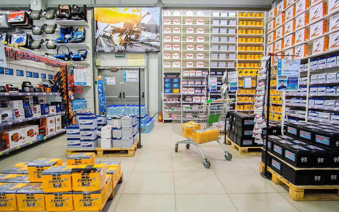 Фото: Vereshchagin Dmitry / Shutterstock / FOTODOM