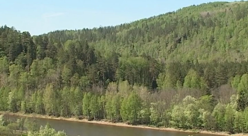 РБК Пермь