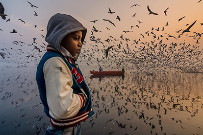 Объявлены победители фотоконкурса National Geographic