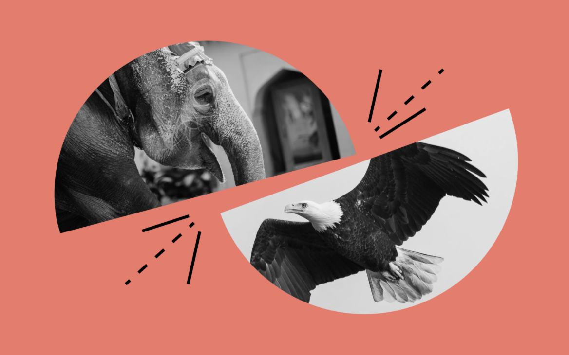 Власти Индии атакуют компании из США: будет ли новая торговая война