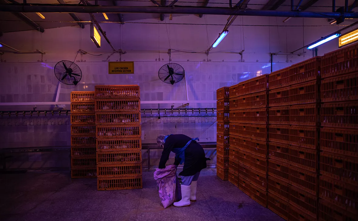 Andrea DiCenzo / Getty Images