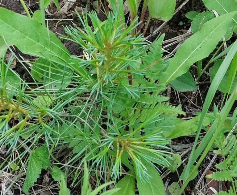 РБК Приморье