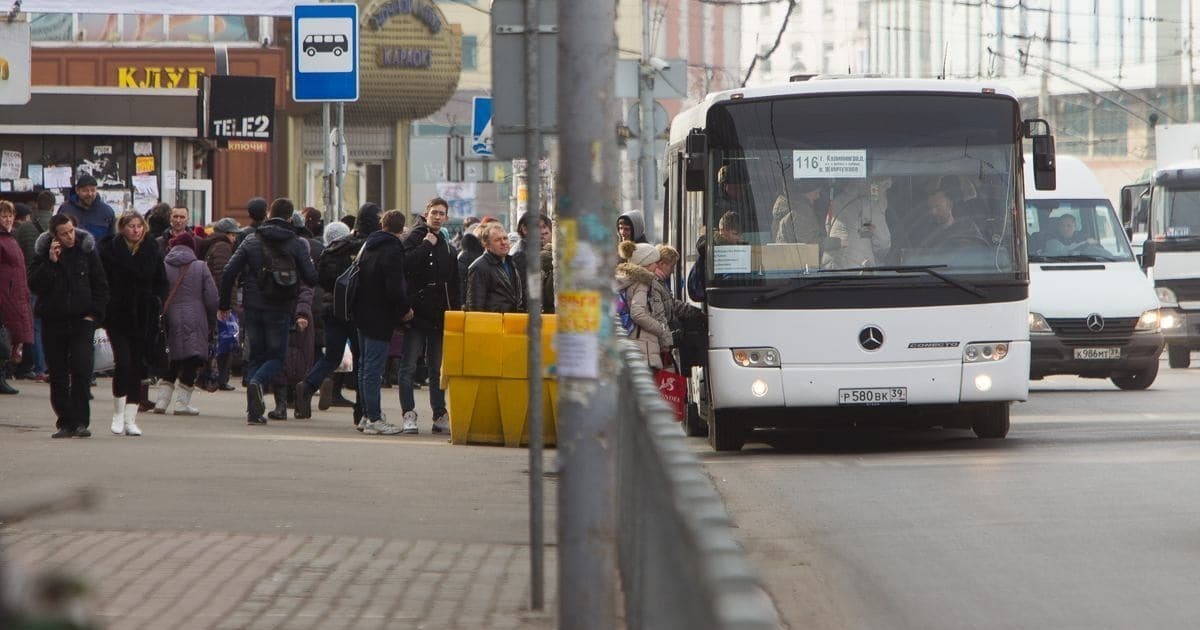 Фото: Александр Подгорчук