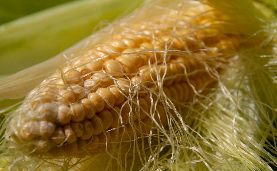 Светлана Возмилова / Global Look Press