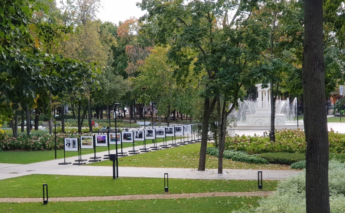 РБК Черноземье