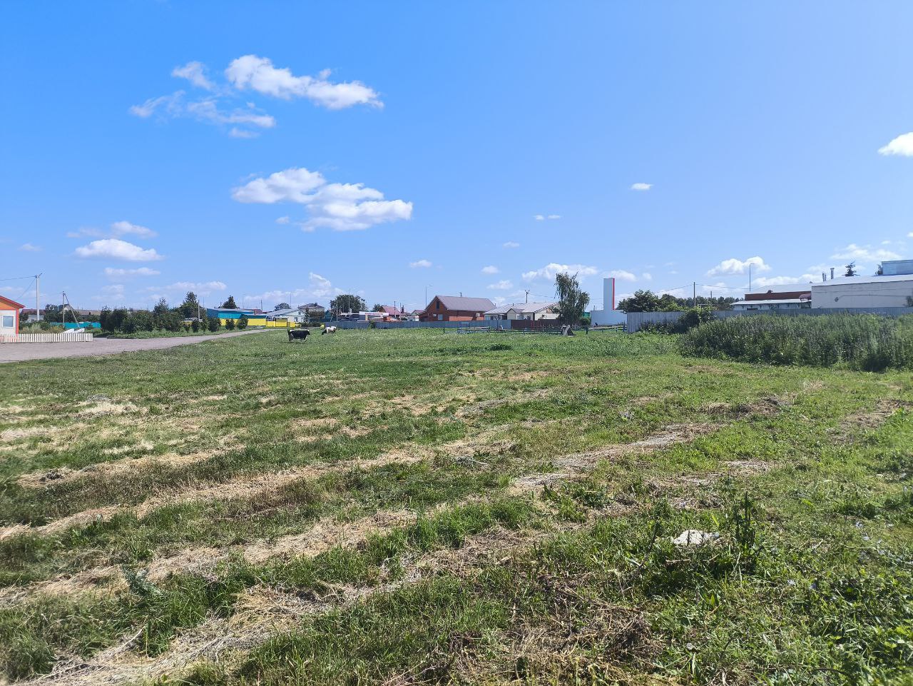 Фото: РБК Татарстан