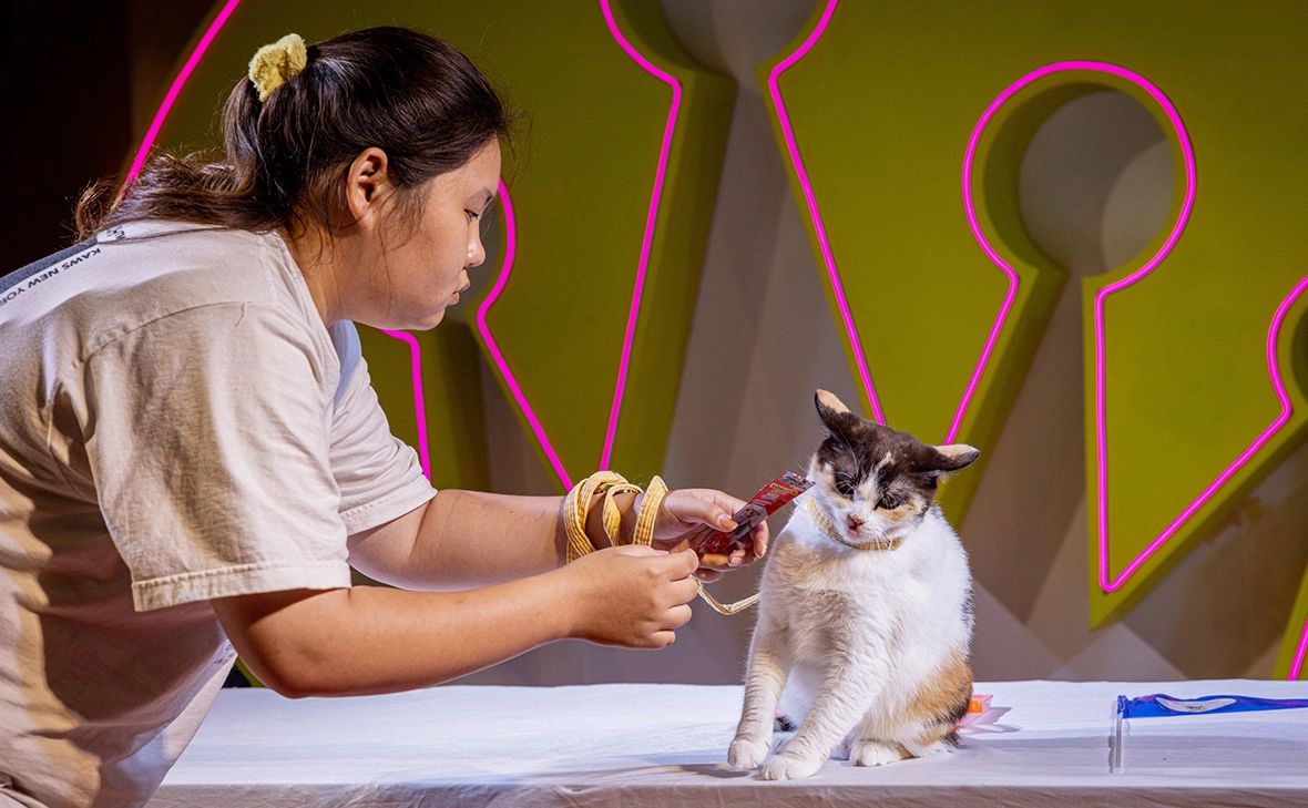 Lauren DeCicca / Getty Images