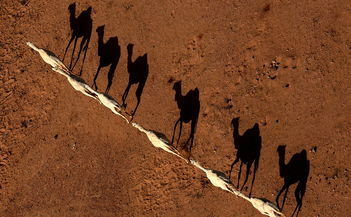 Stephane Mahe / Reuters