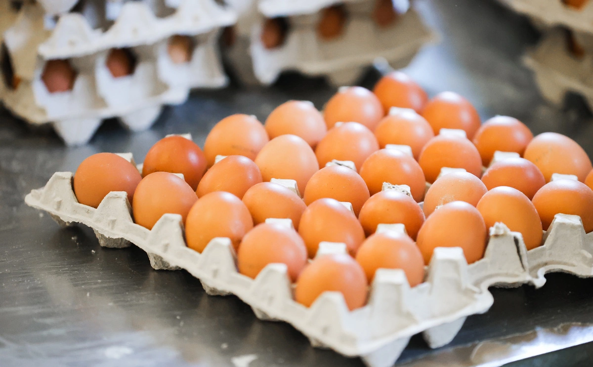 Юрий Смитюк / ТАСС