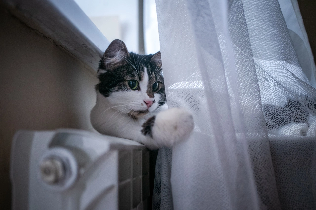 Владимир Андреев / РИА URA.RU