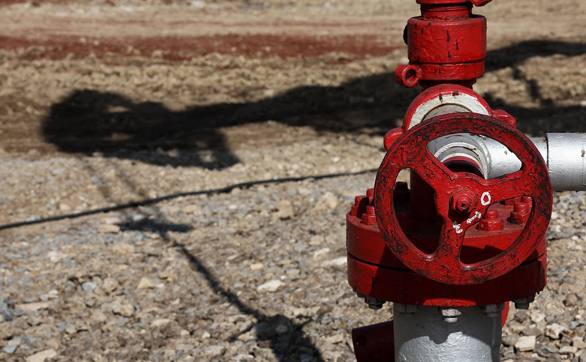 Егор Алеев / ТАСС