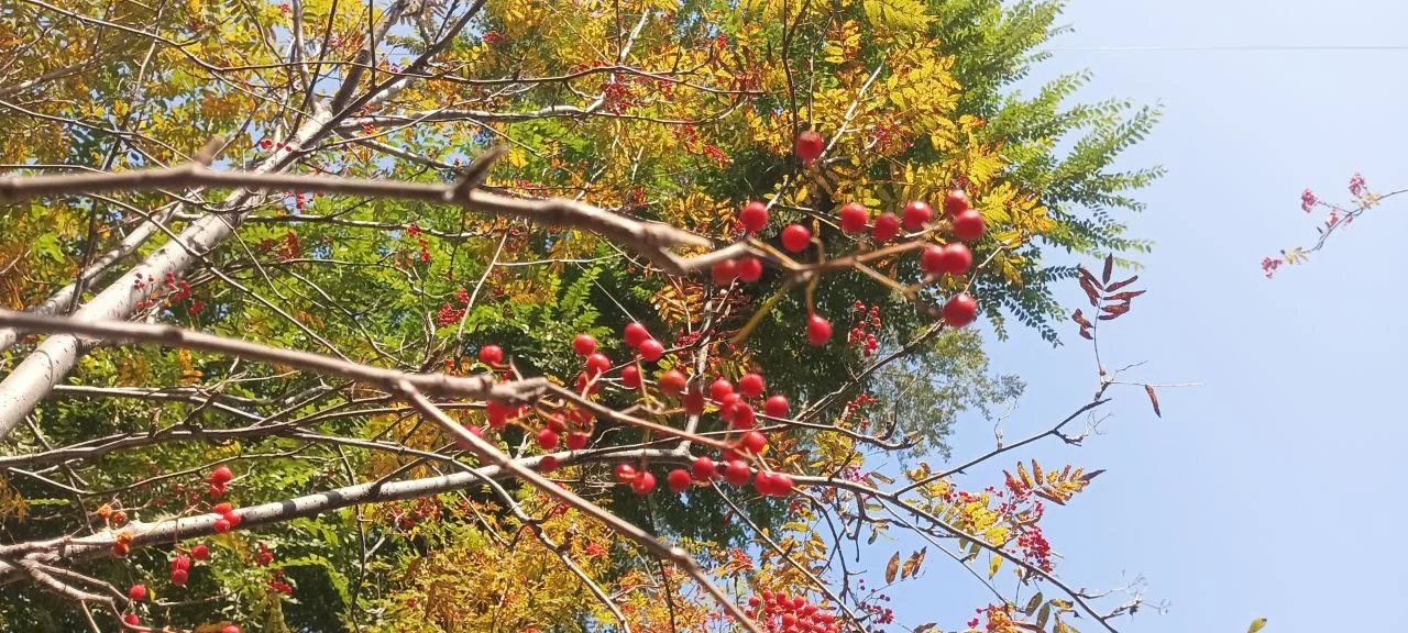 РБК Приморье