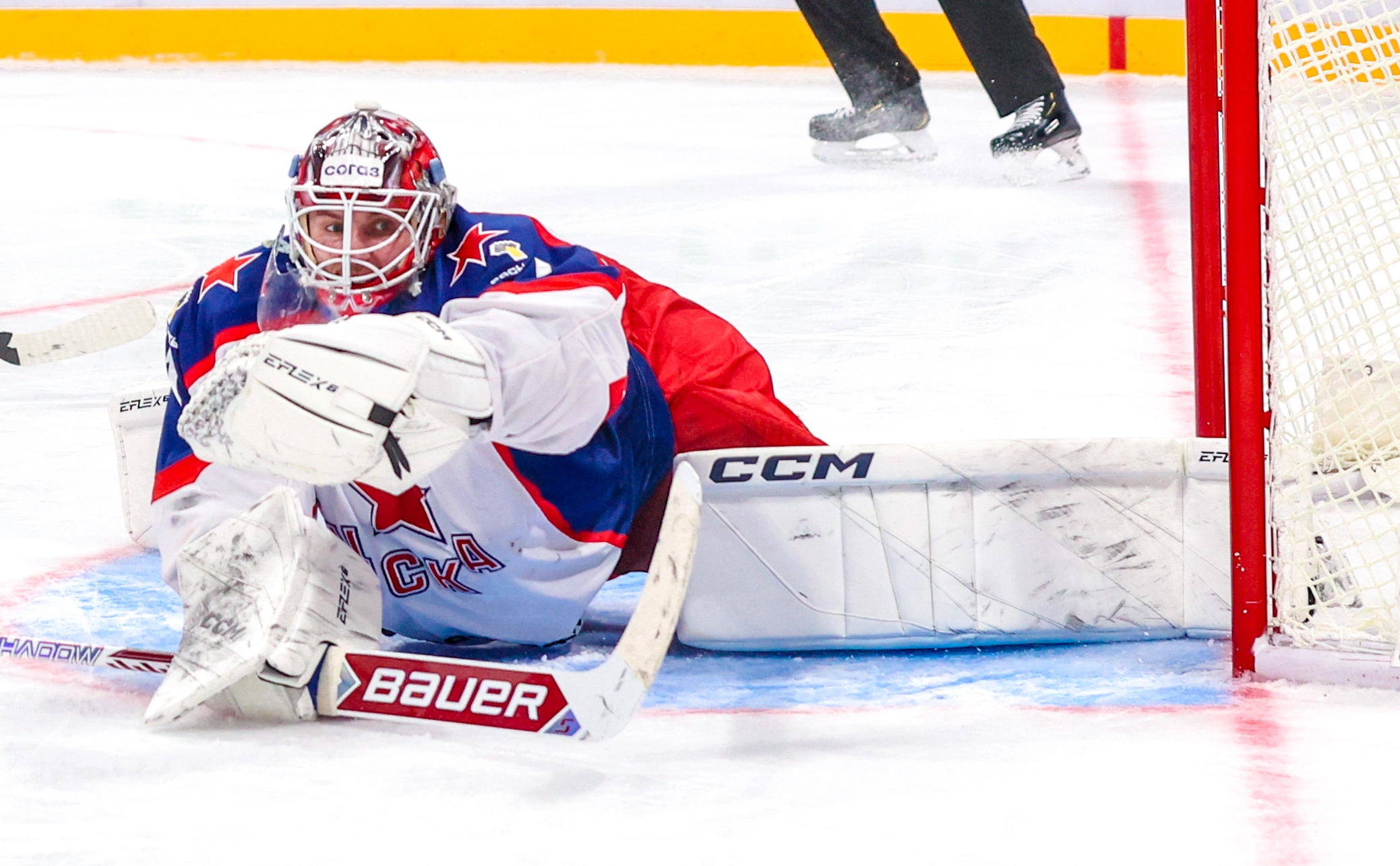 Петр Ковалев / ТАСС