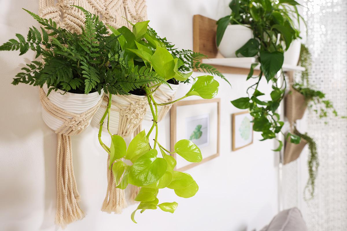 Декор и отделка: как сделать пустую стену частью интерьера квартиры