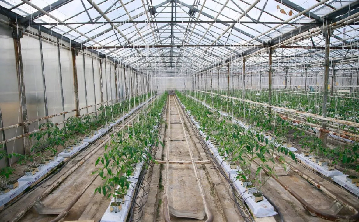 пресс-служба правительства РБ