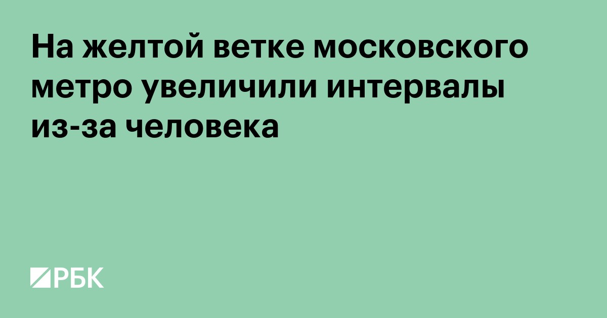 На желтой ветке московского метро увеличили интервалы из-за человека