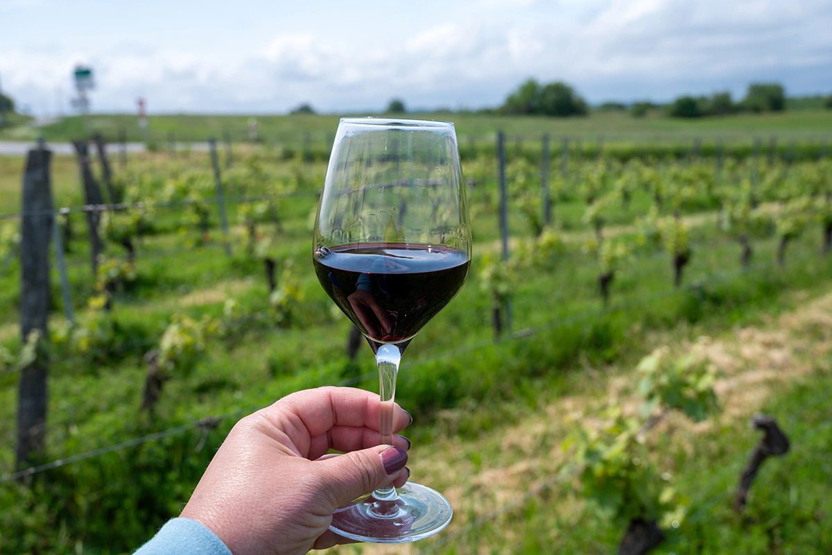 Конкурс продемонстрировал широкий ассортимент кагоров на российском рынке. Большинство образцов соответствовало традиционному стилю, однако лишь немногие из них действительно отличались богатством вкуса, глубиной и сложностью аромата, характерными для классического кагора