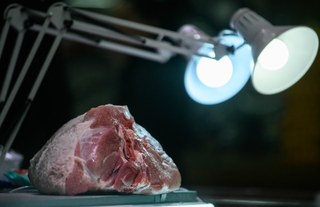 Фото:  Илья Московец / URA.RU