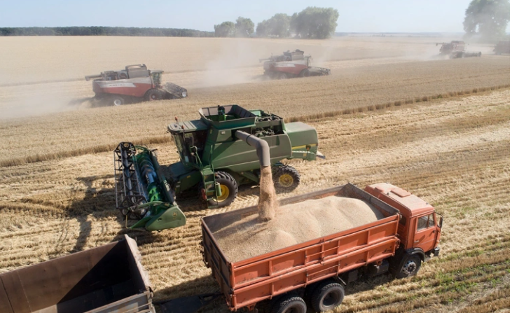 Фото: Николай Гынгазов / Global Look Press