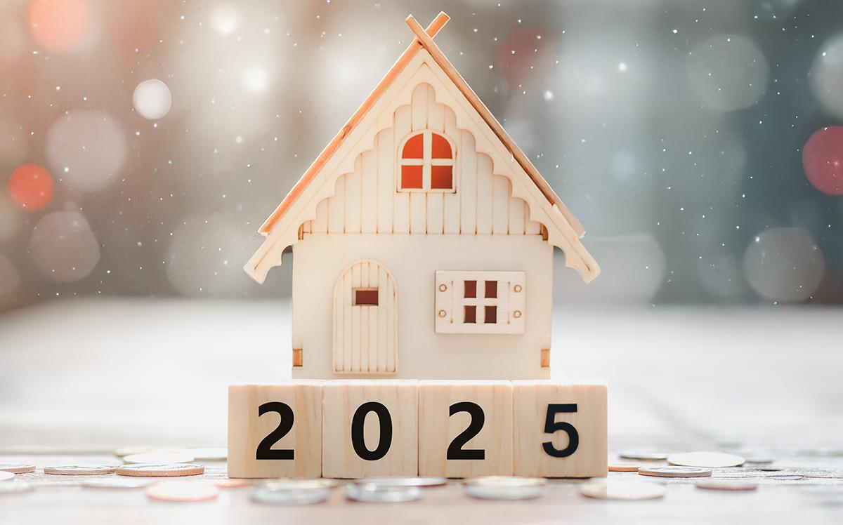 От Долиной до реновации: главные события на рынке недвижимости — 2025