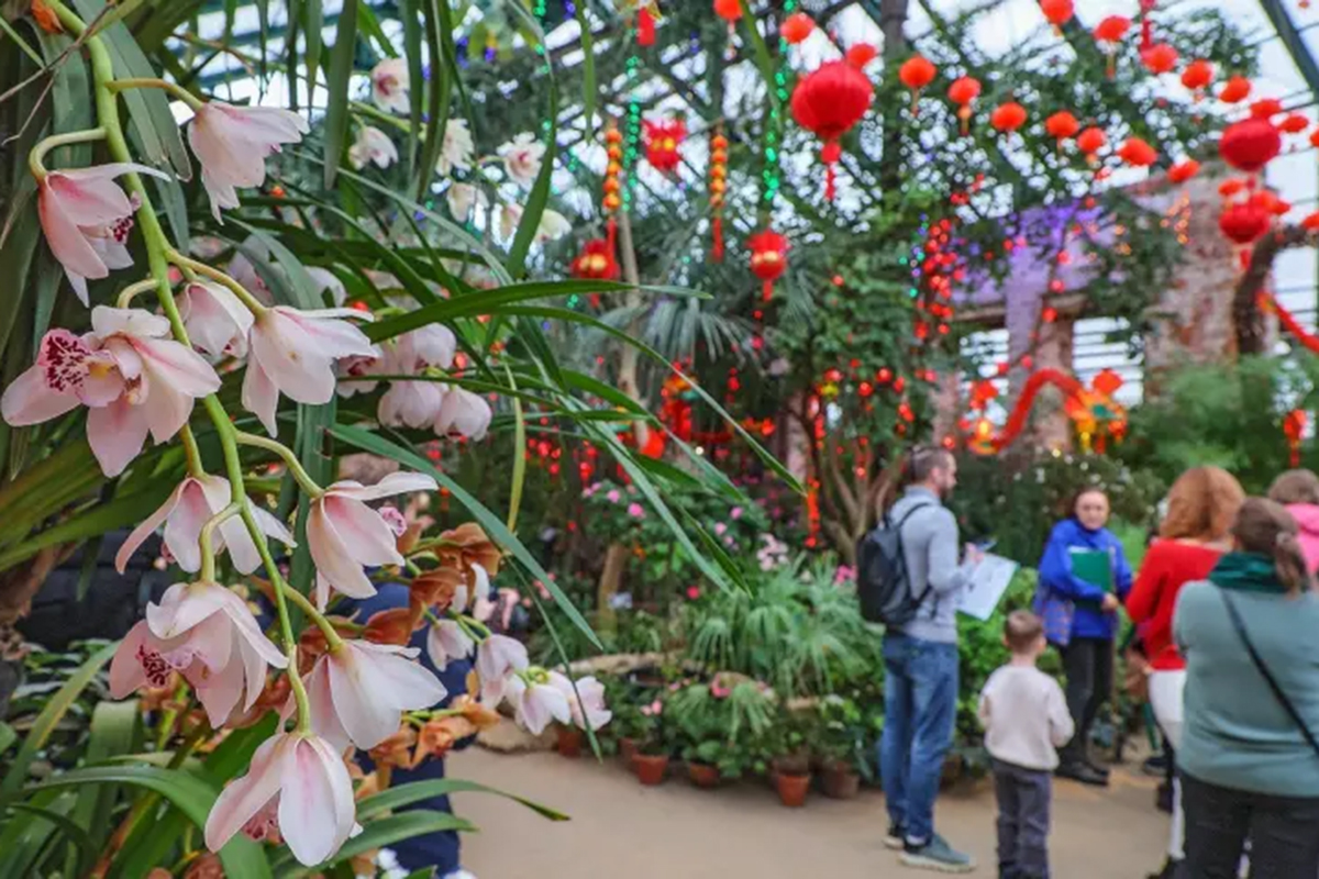 Фото: Аптекарский огород