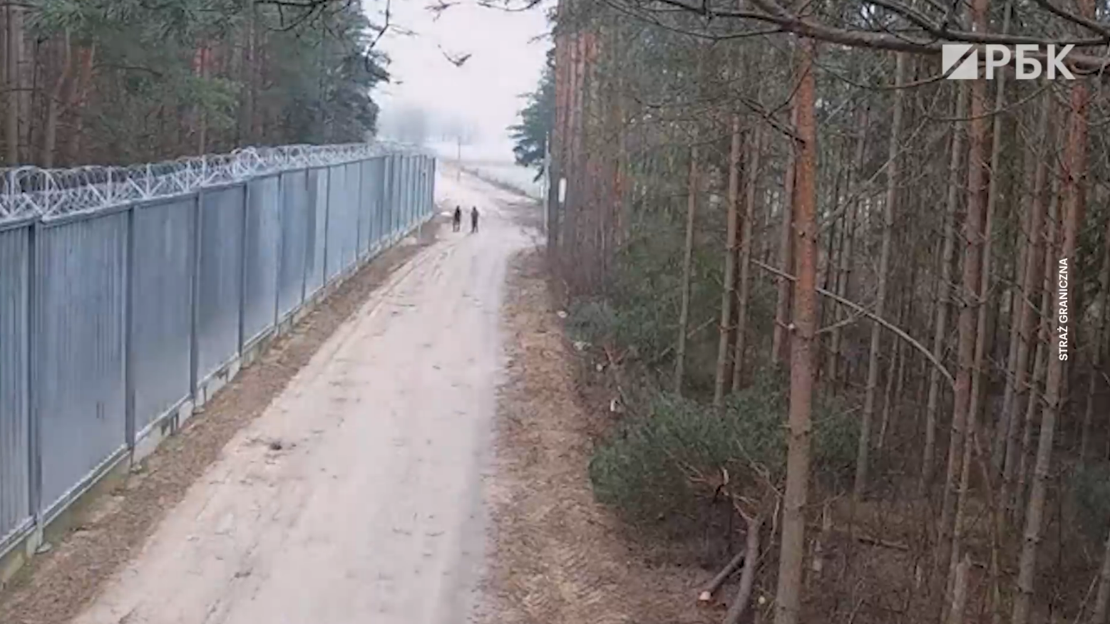 Польских пограничников закидали камнями со стороны Белоруссии