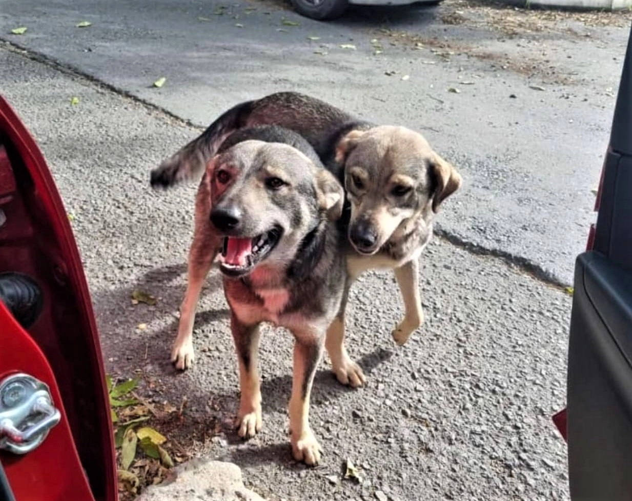 РБК Приморье