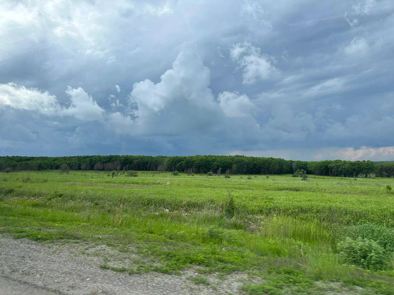 РБК Приморье