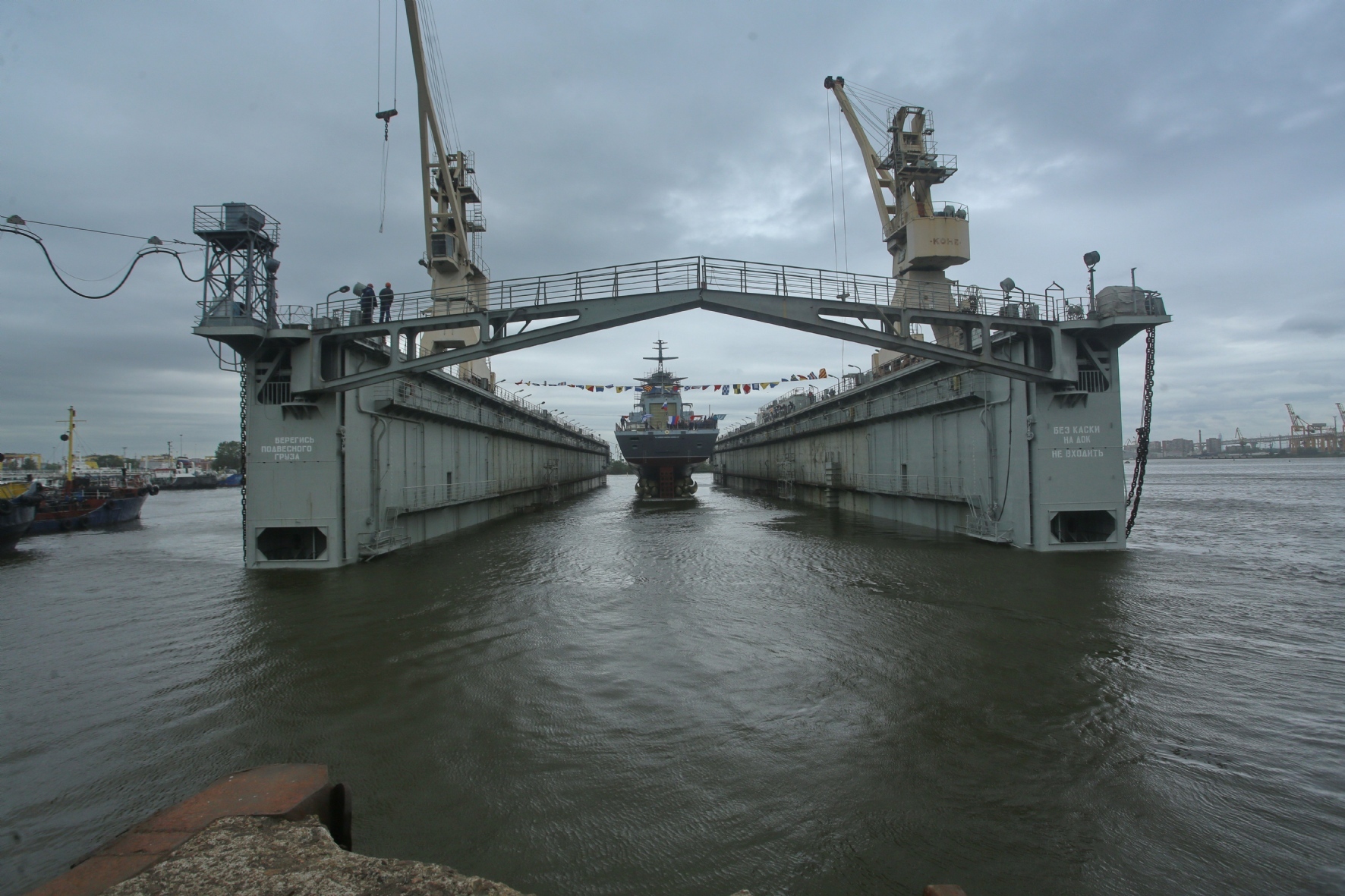 Фото: Холявчук Светлана / PhotoXPress.ru