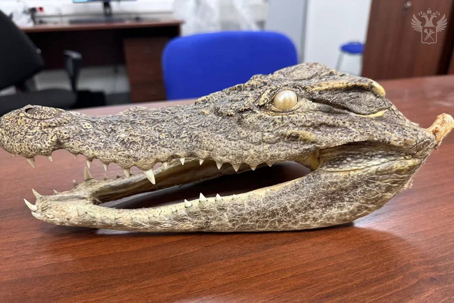 Фото: ФТС России