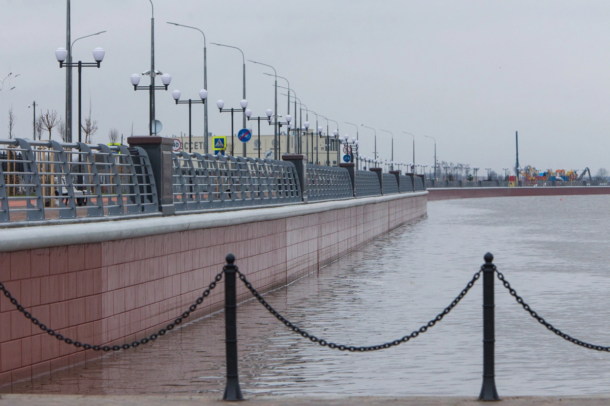 Александр Подгорчук