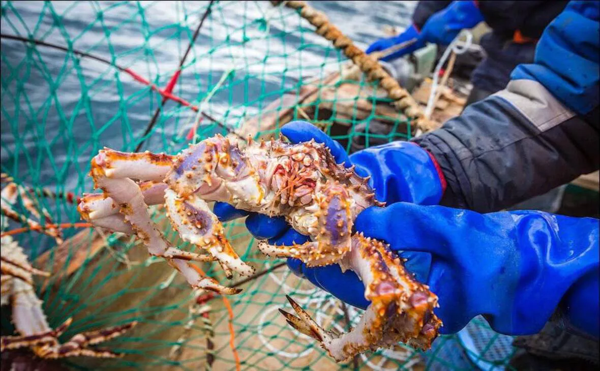 Росрыболовство / t.me