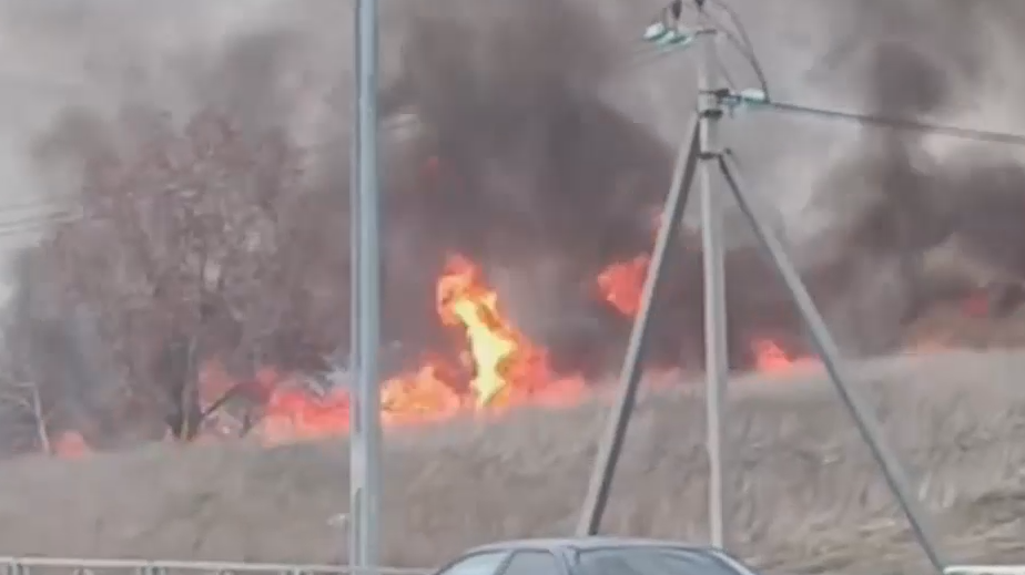 Из детсада под Самарой эвакуировали 330 человек из-за горящего камыша