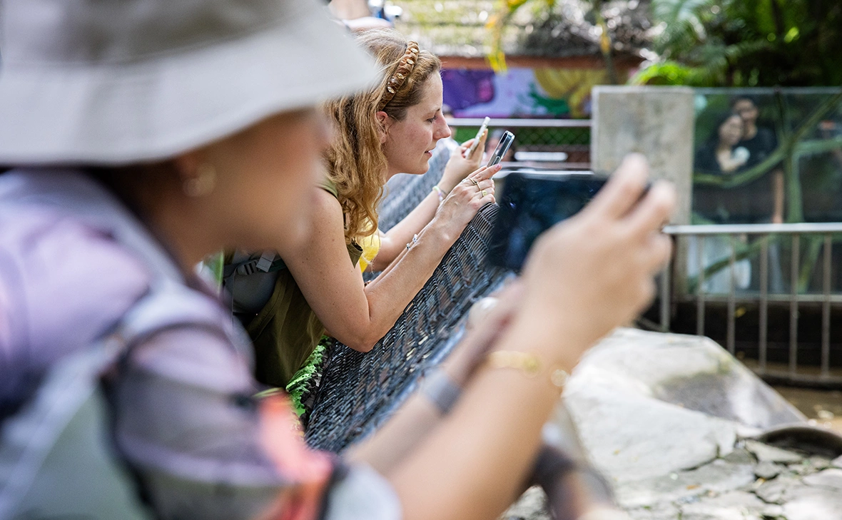 Lauren DeCicca / Getty Images