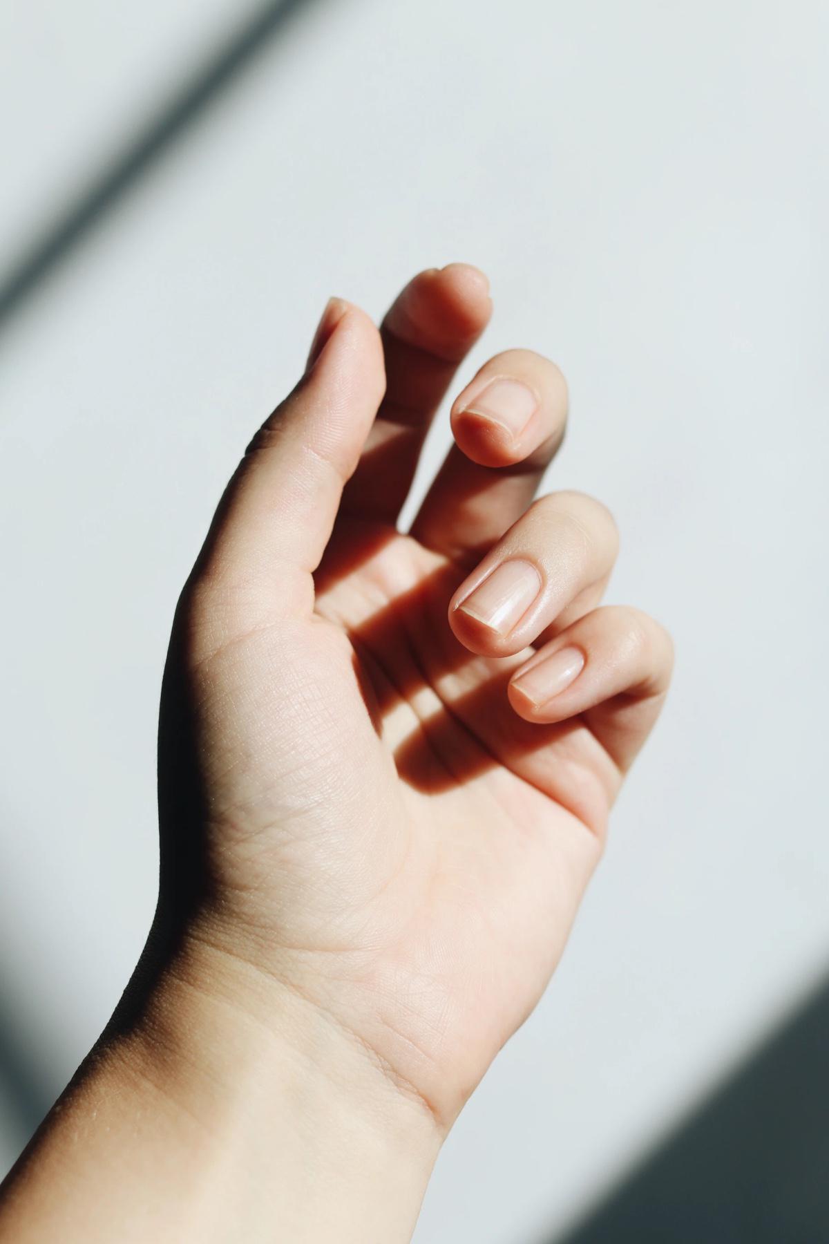 Фото: Jessica Mangano / Unsplash