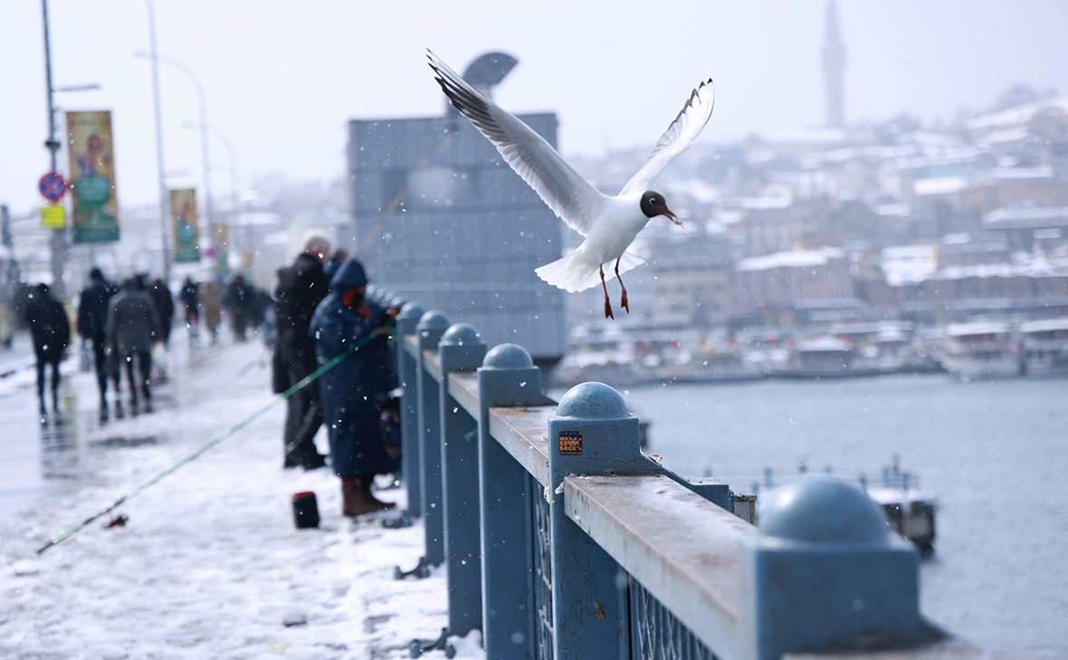 Shady Al-Assar / Keystone Press Agency / Global Look Press