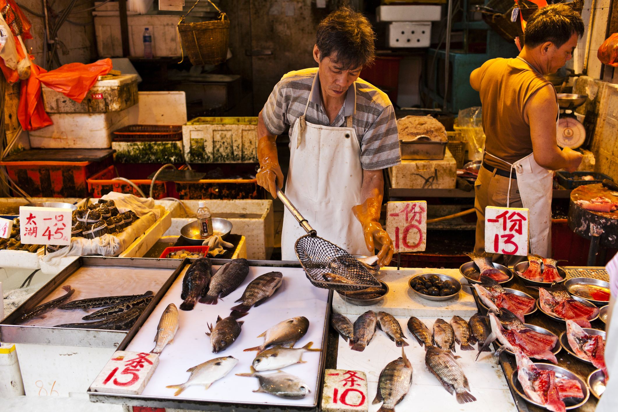 Абалон с солью и перцем &mdash; фирменное блюдо в столовой на рыбном рынке Абердин в Гонконге