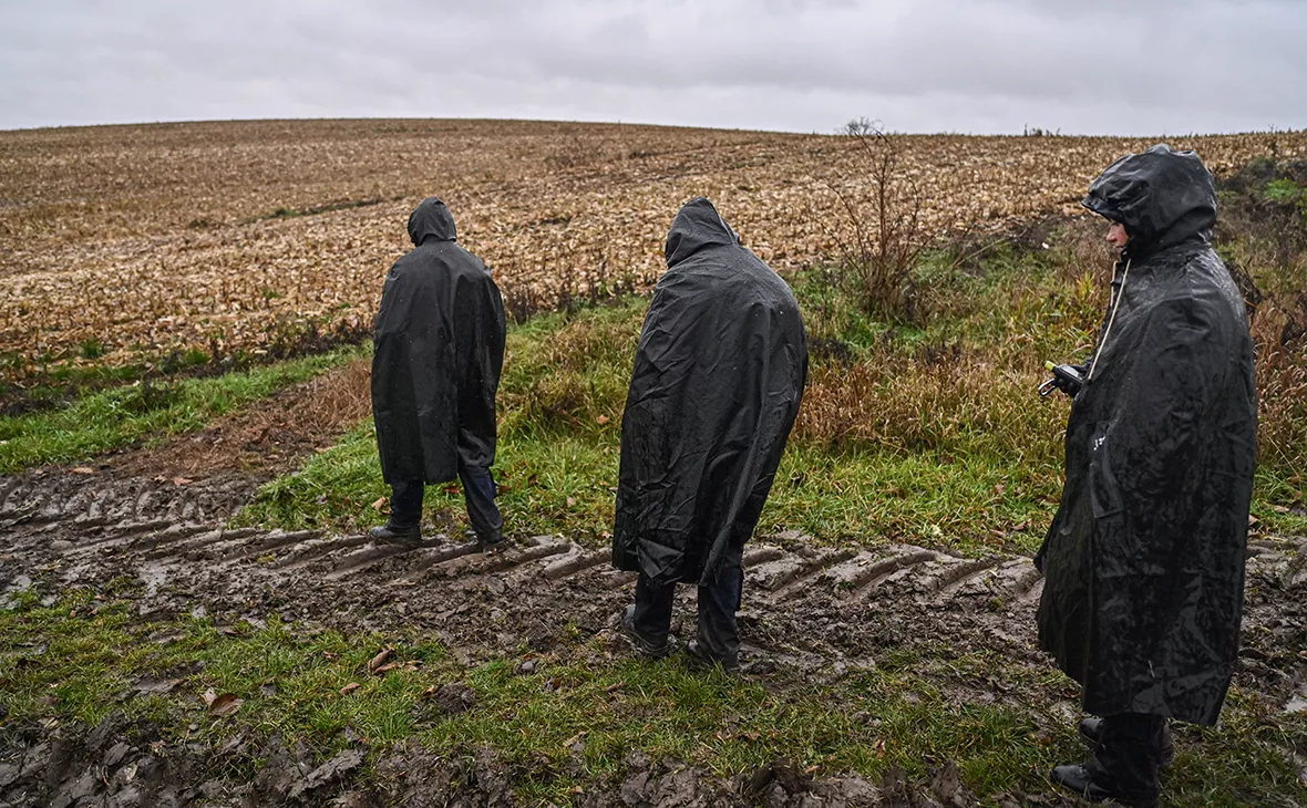 Omar Marques / Getty Images