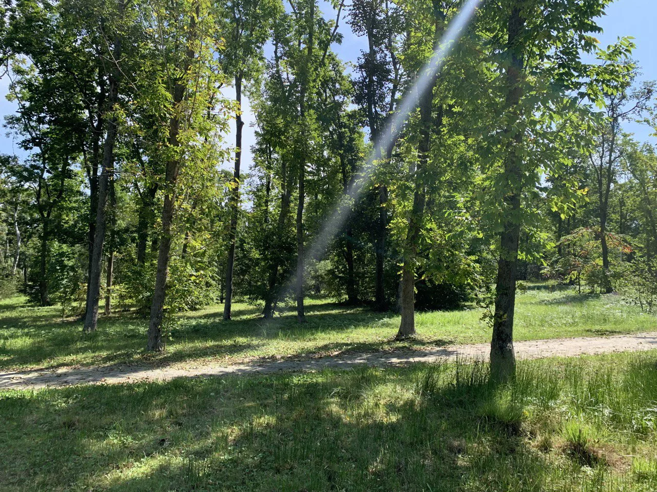 РБК Приморье