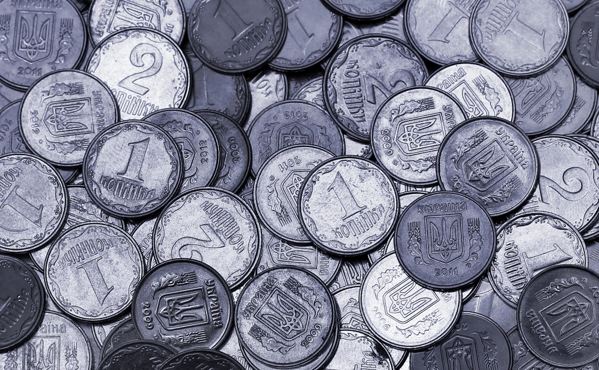 aquatarkus / Shutterstock