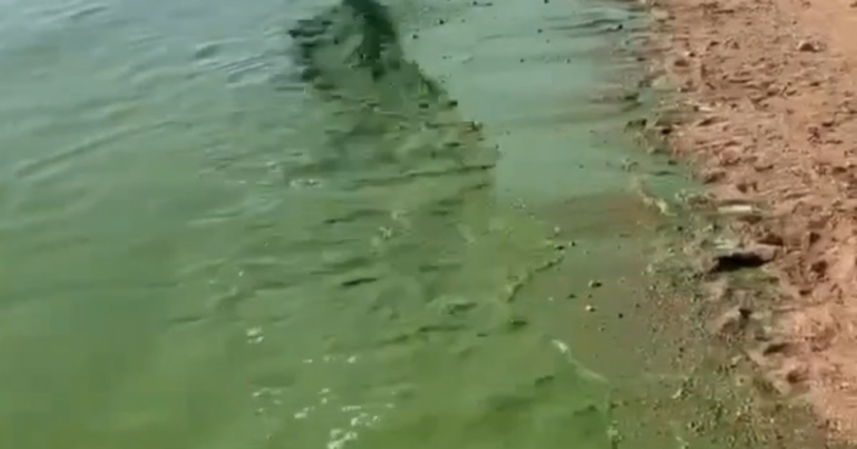 В которой вода по. В которой вода по. В которой вода по. В которой вода по. Опыт поднимающаяся вода.